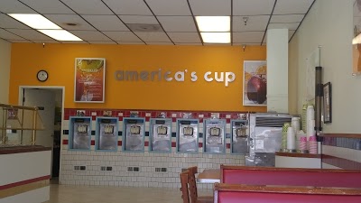Americas Cup Yogurt