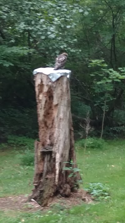 Bucktail Lodge